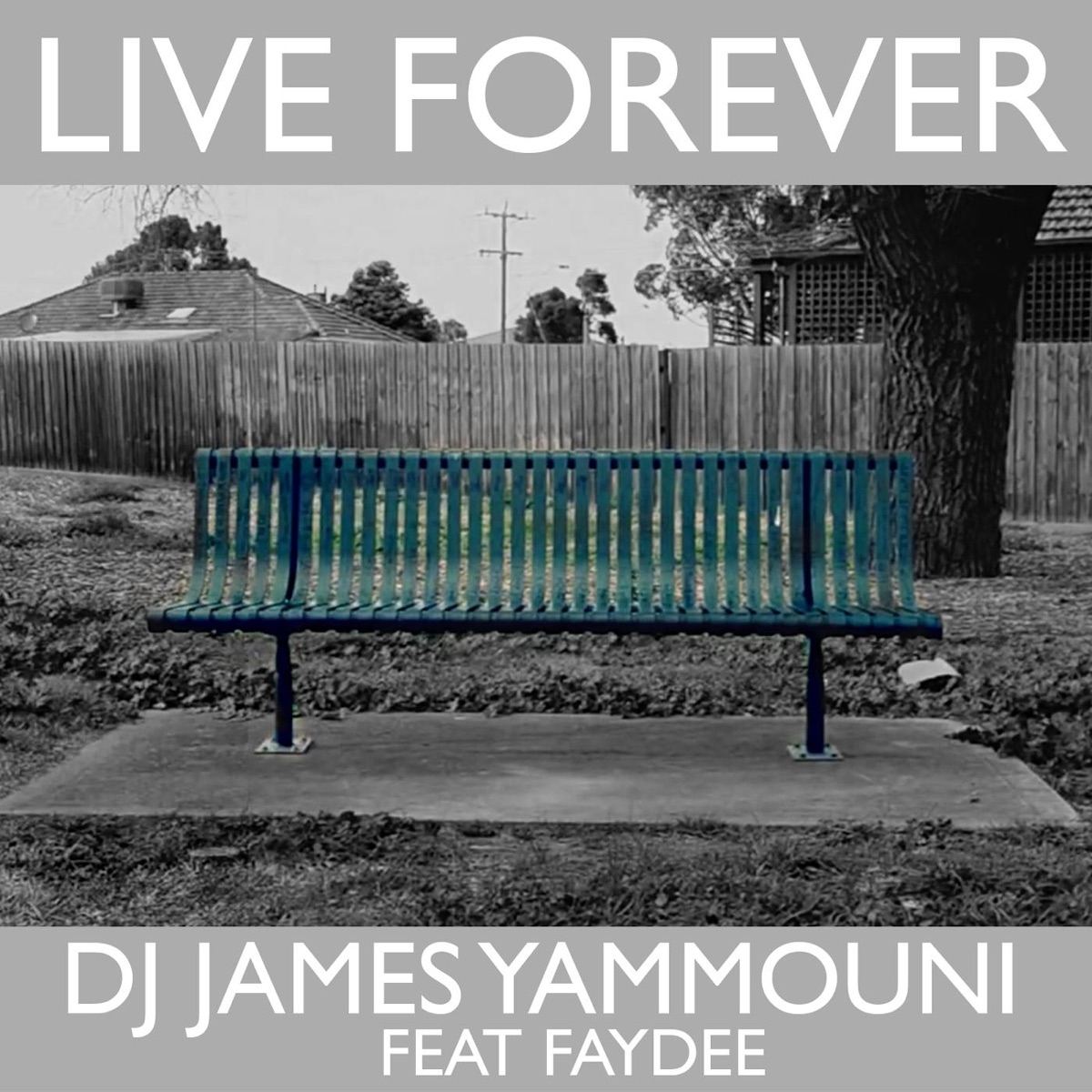 Live Forever (feat. Faydee) - Single by DJ James Yammouni album cover