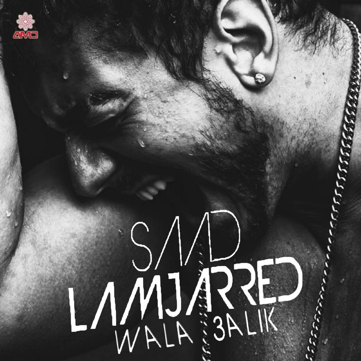 ولا عليك by Saad Lamjarred album cover