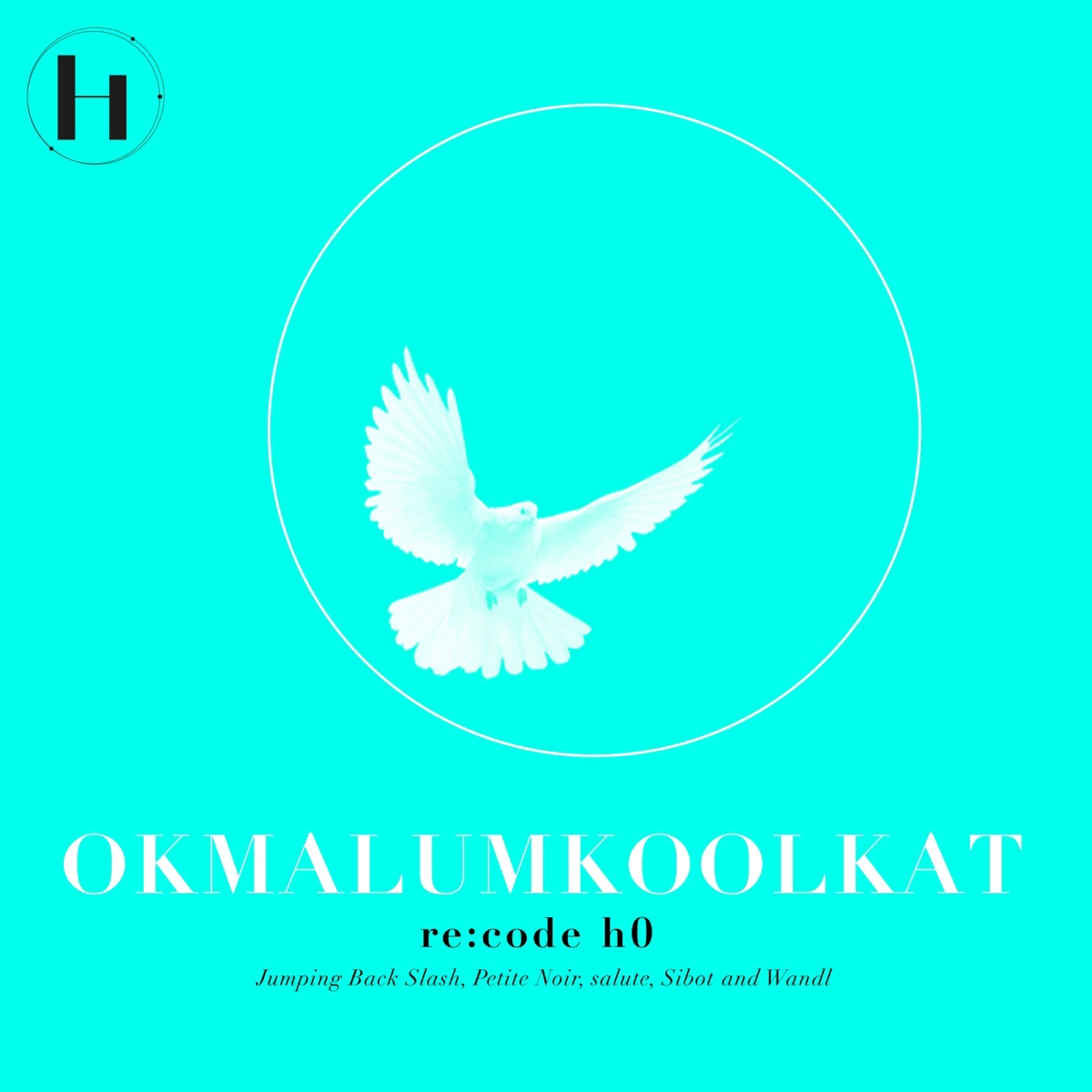 Re:code H0 - EP by Okmalumkoolkat album cover