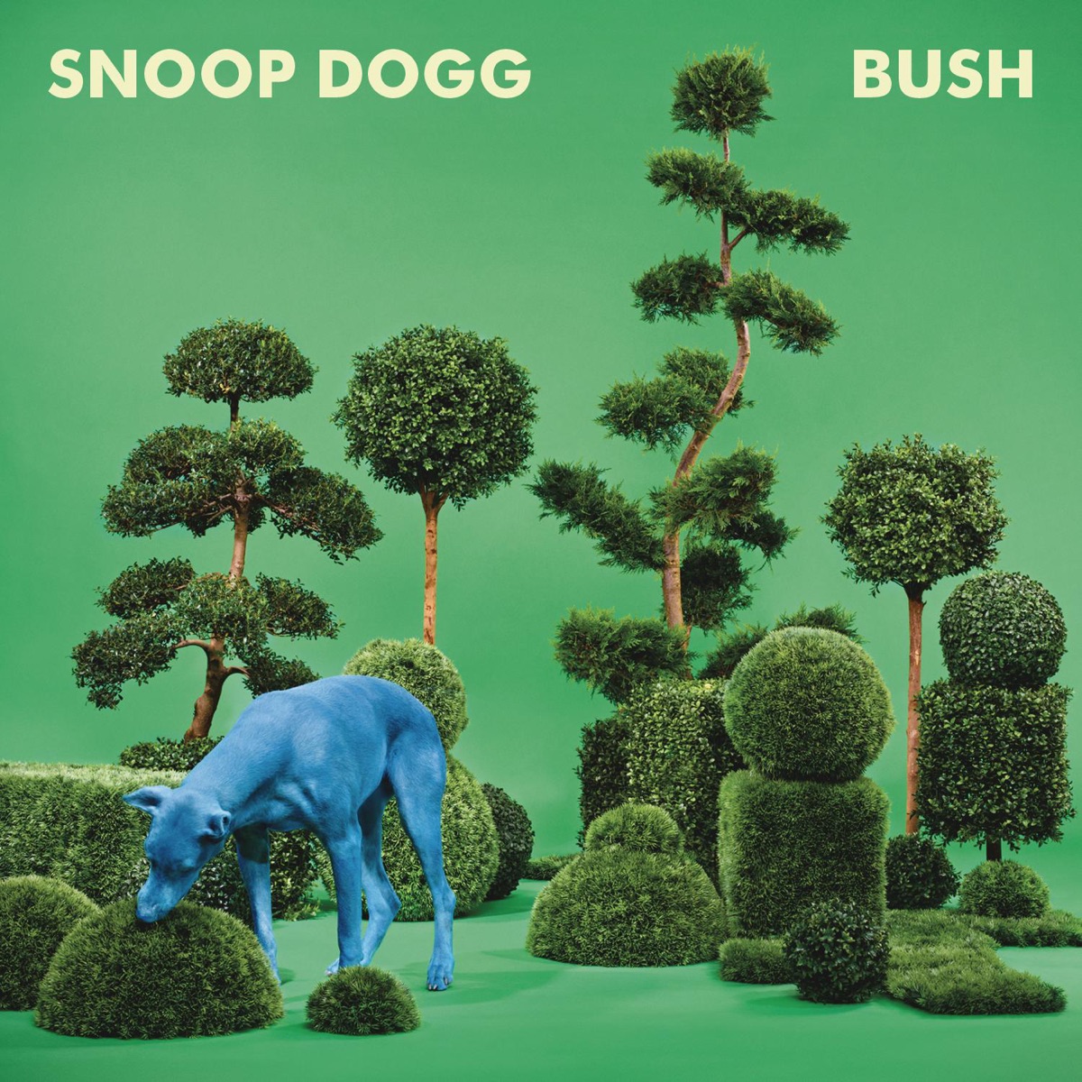 BUSH by Snoop Dogg album cover