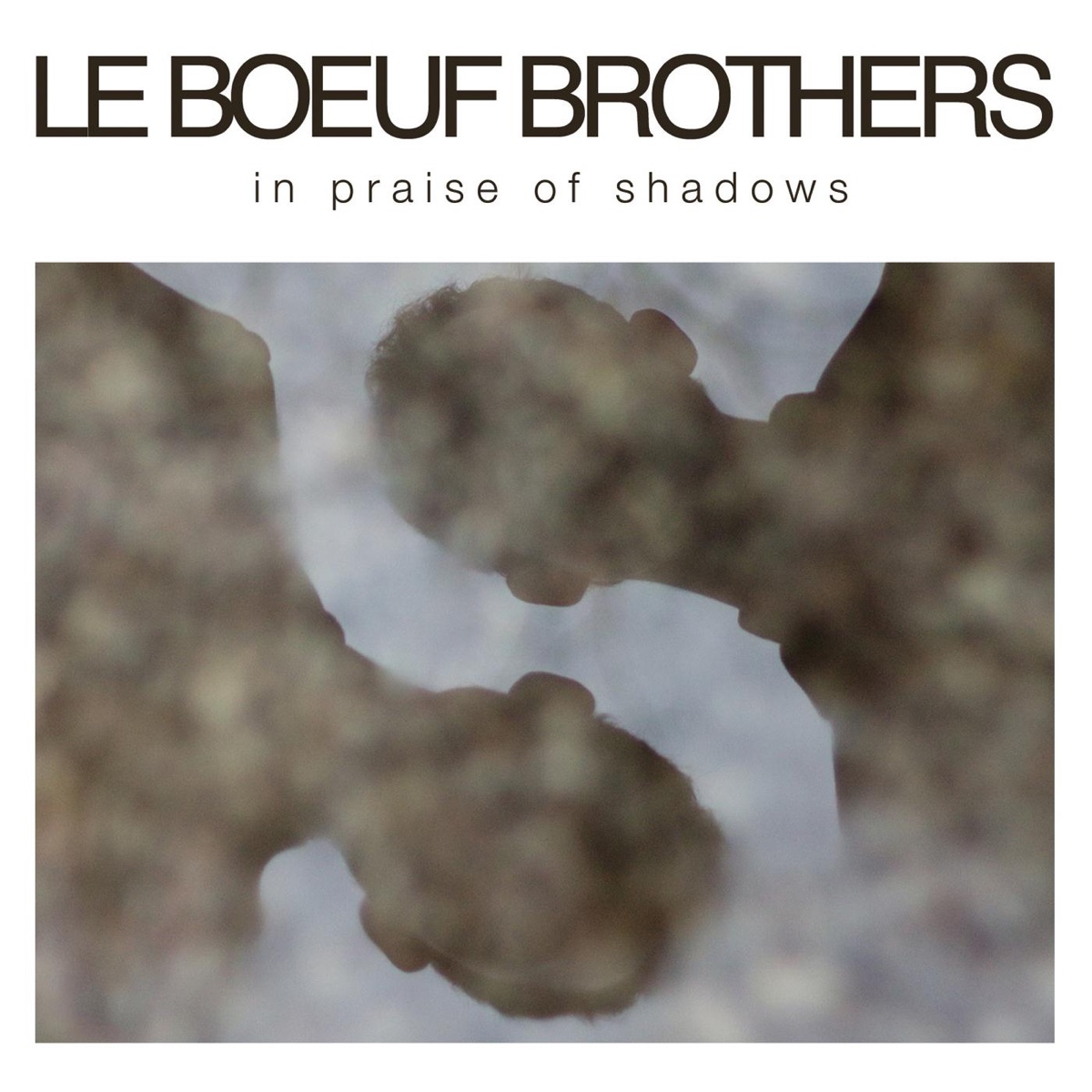 In Praise of Shadows by Le Boeuf Brothers album cover
