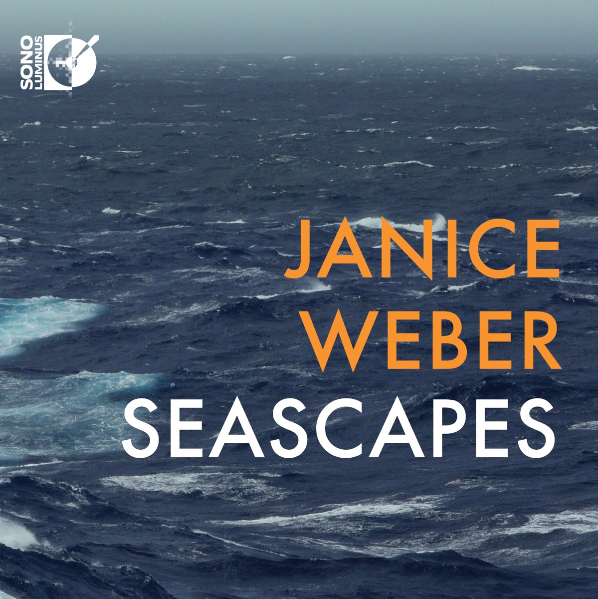 Seascapes by Janice Weber album cover