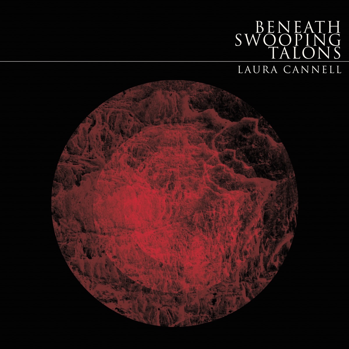 Beneath Swooping Talons by Laura Cannell album cover