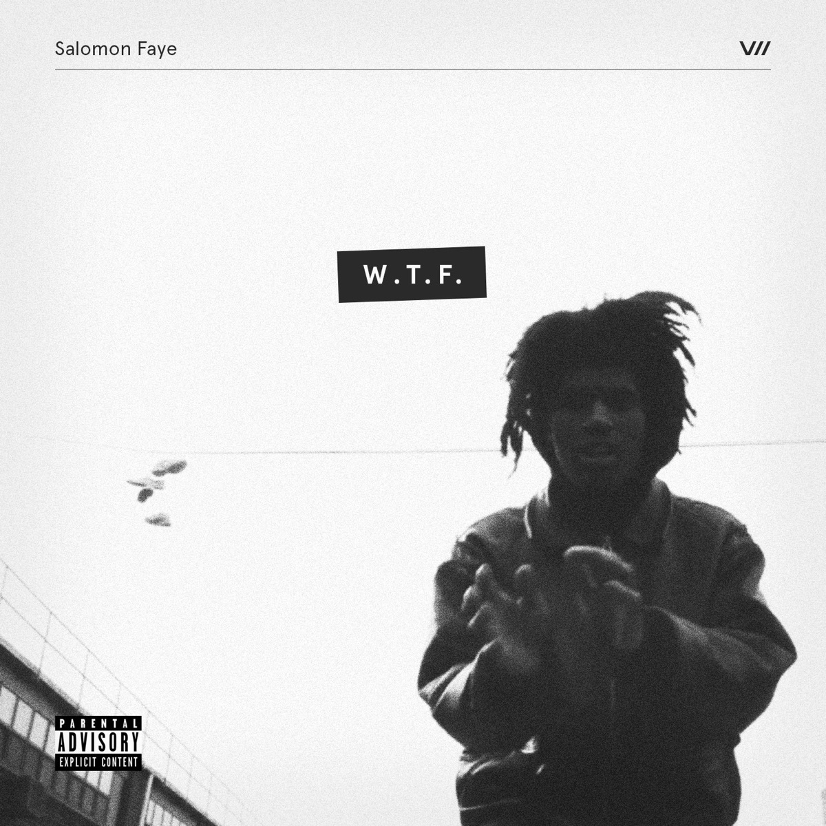 W.T.F. - Single by Salomon Faye album cover