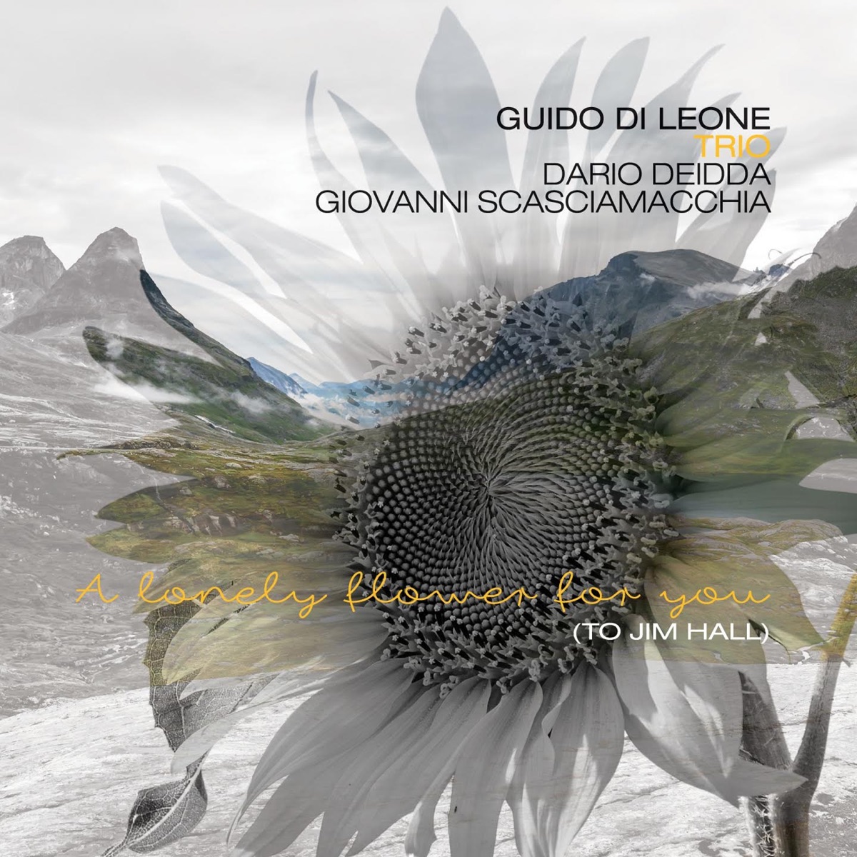 A Lonely Flower for You (feat. Dario Deidda & Giovanni Scasciamacchia) [Tribute to Jim Hall] by Guido di Leone Trio album cover