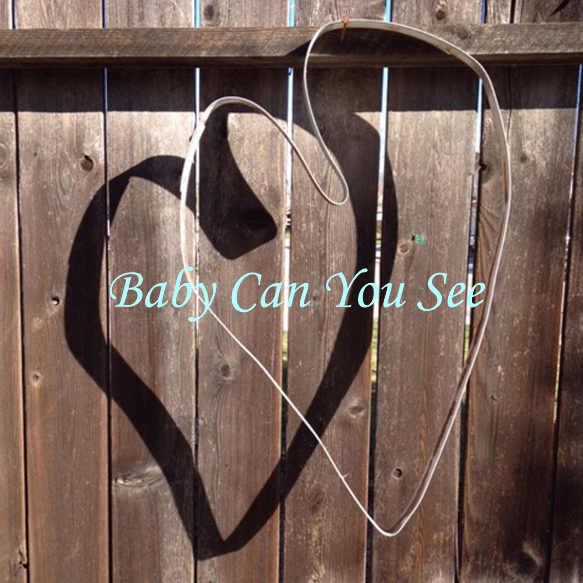 Baby Can You See - Single by Mike Swan album cover