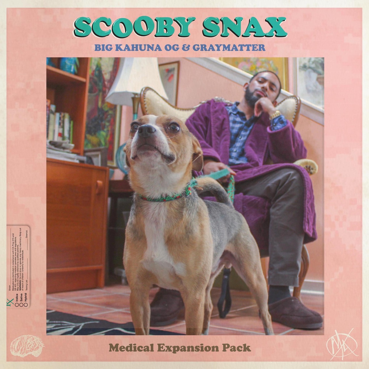 Scooby Snax by Big Kahuna OG & Graymatter album cover