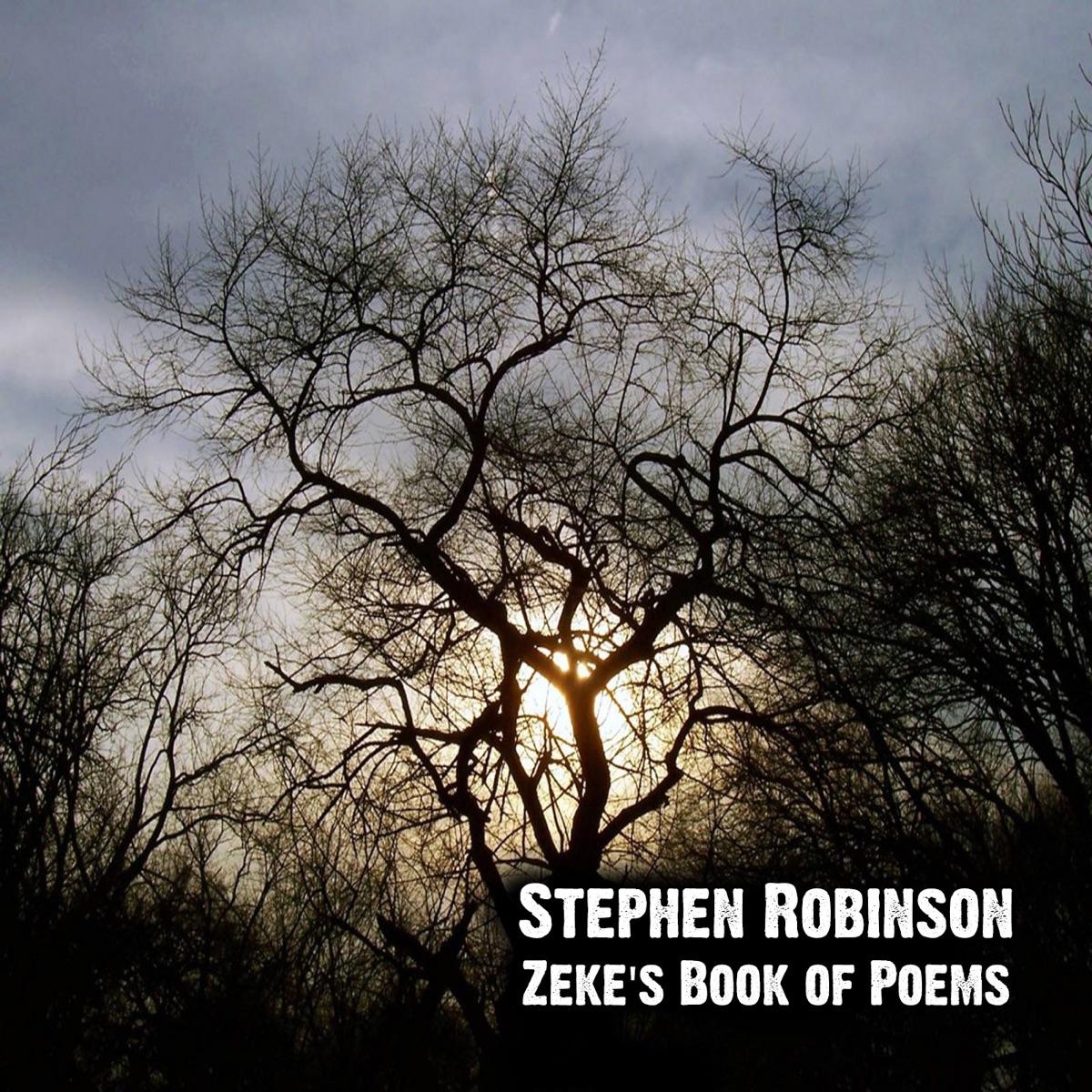 Zeke's Book of Poems by Stephen Robinson album cover