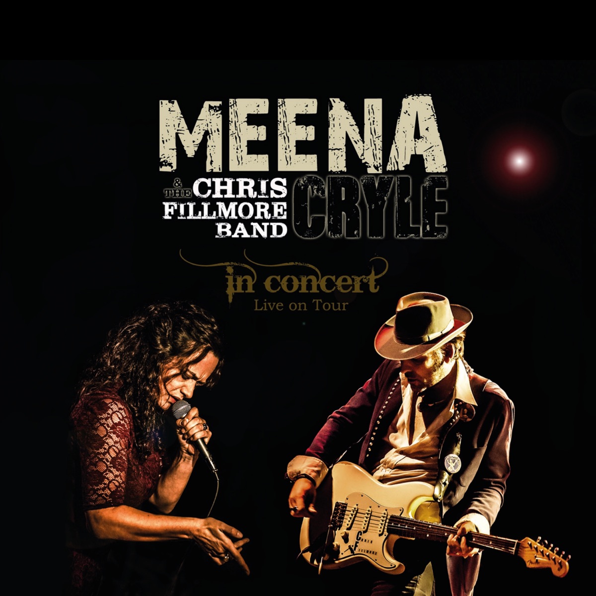 In Concert (Live) by Meena Cryle & Chris Fillmore Band album cover