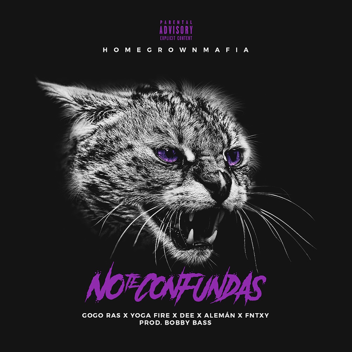 No Te Confundas (feat. Gogo Ras, Yoga Fire, Dee, Aleman & Fntxy) - Single by Homegrown Mafia album cover