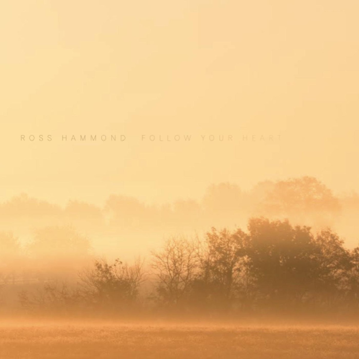 Follow Your Heart by Ross Hammond album cover