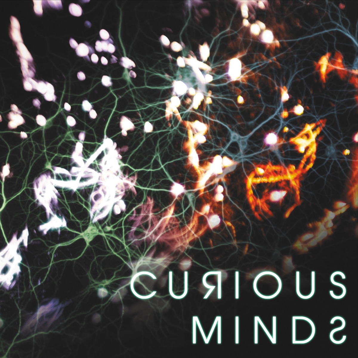 Curious Minds by Latitude 49 album cover