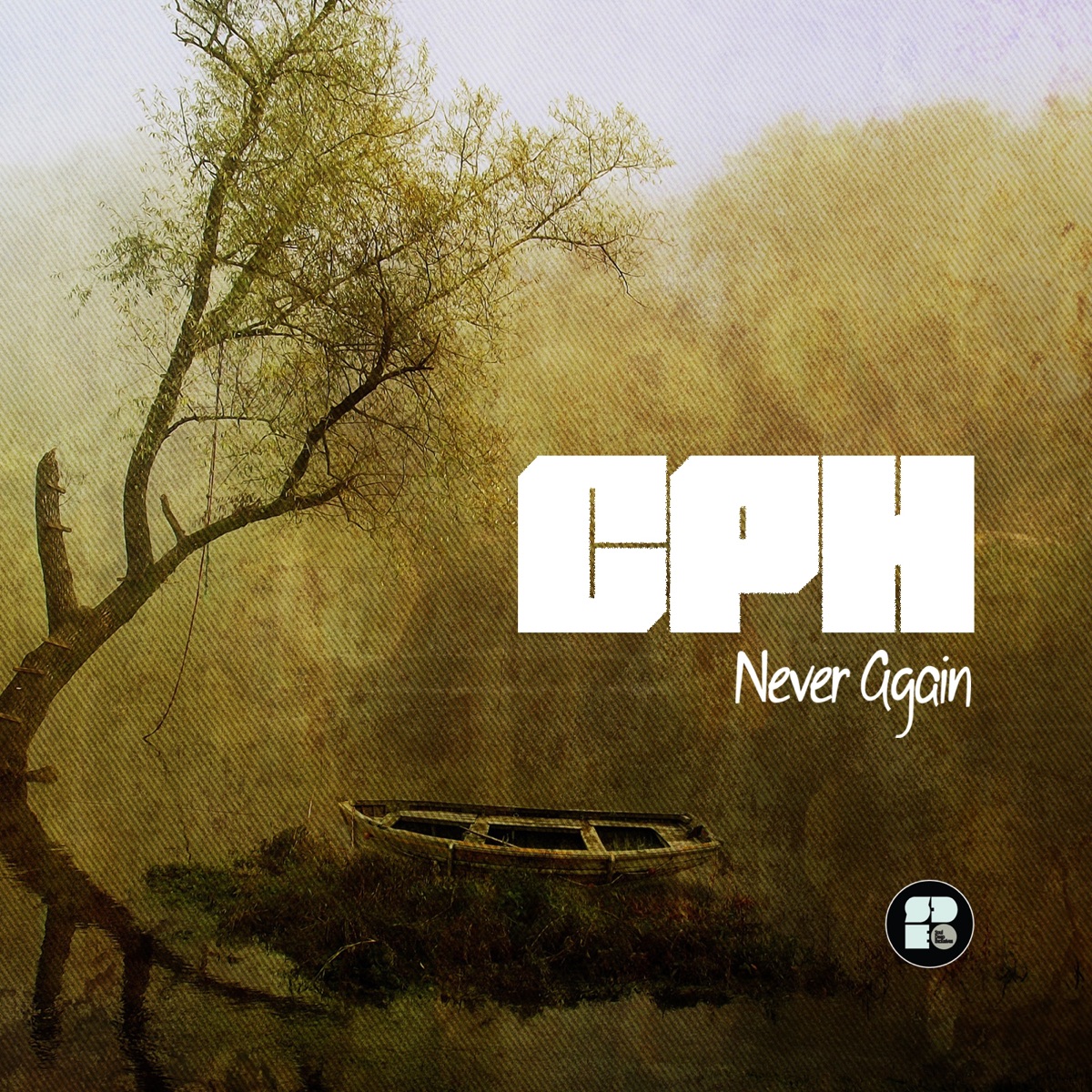 Never Again - Single by CPH album cover