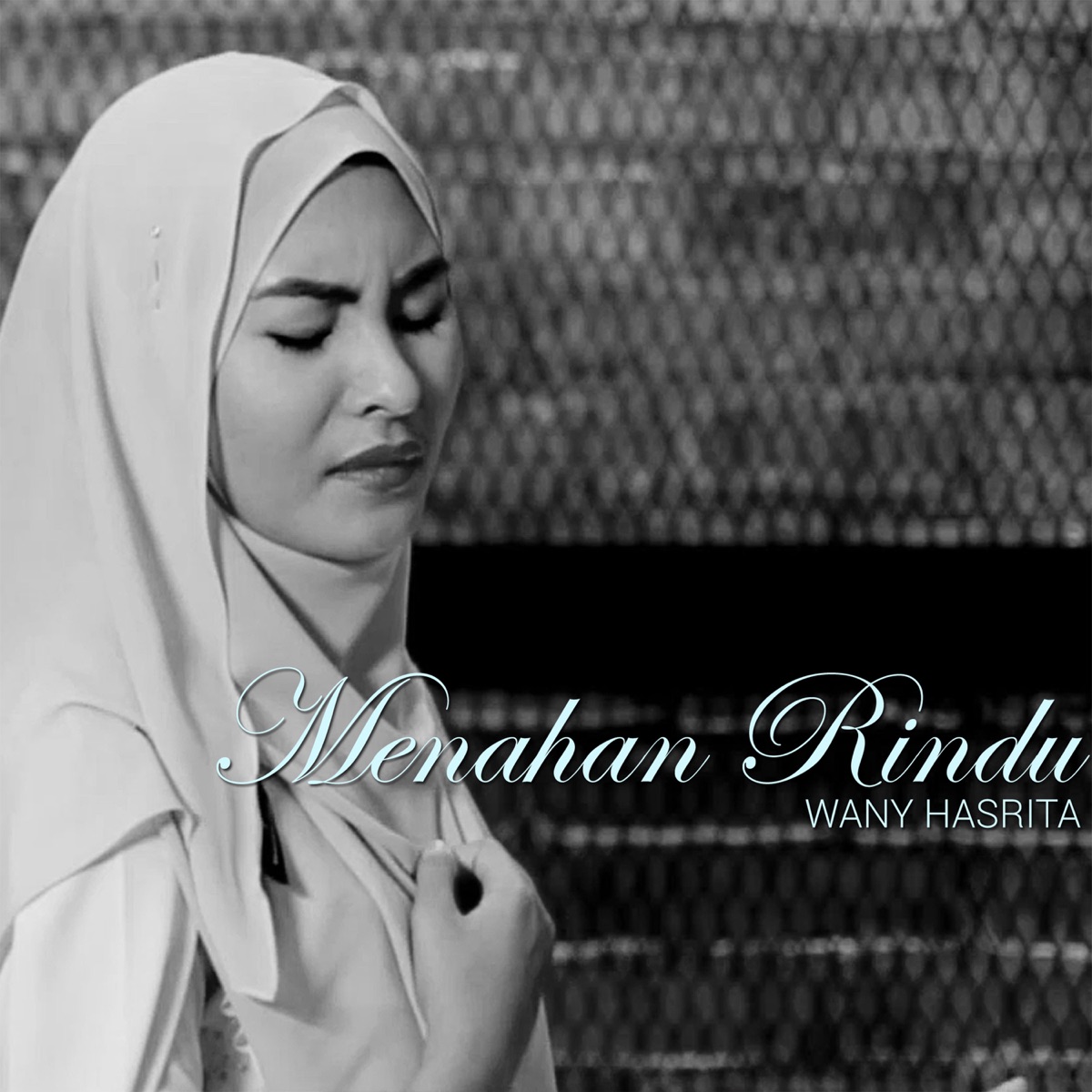 Menahan Rindu - Single by Wany Hasrita album cover