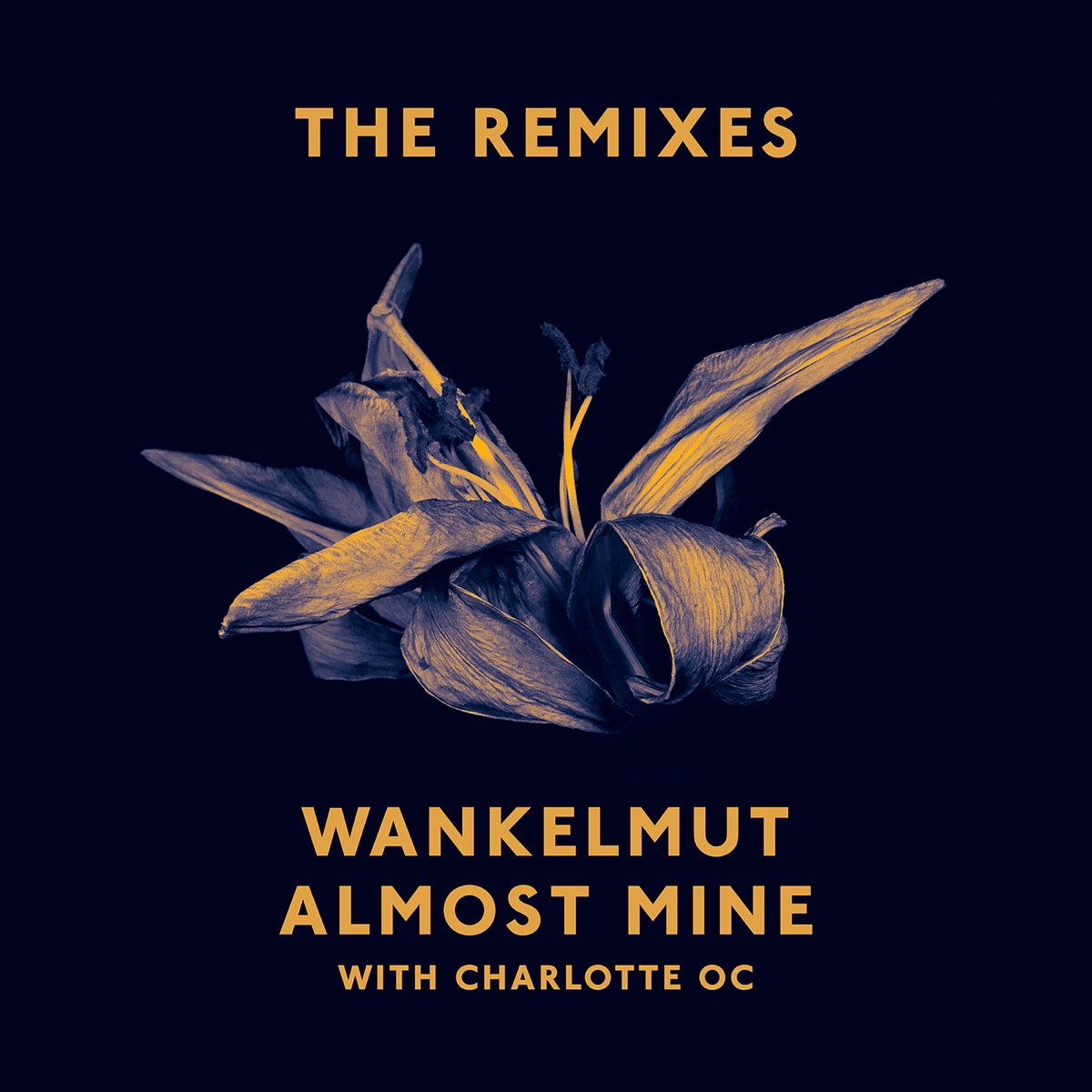 Almost Mine (The Remixes) [with Charlotte OC] by Wankelmut album cover