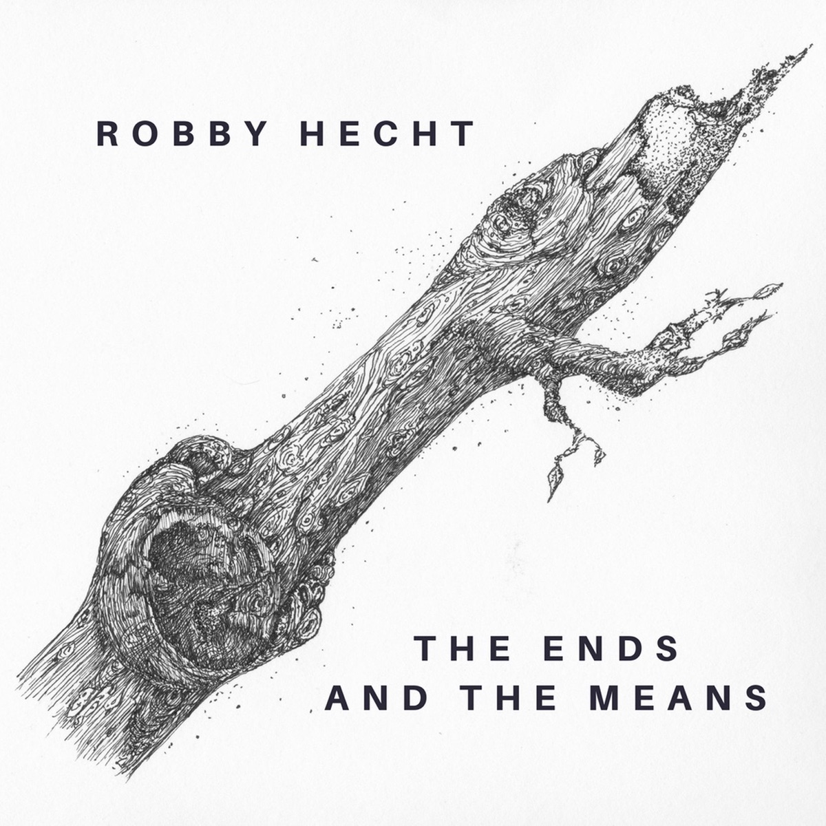 The Ends and the Means - Single by Robby Hecht album cover