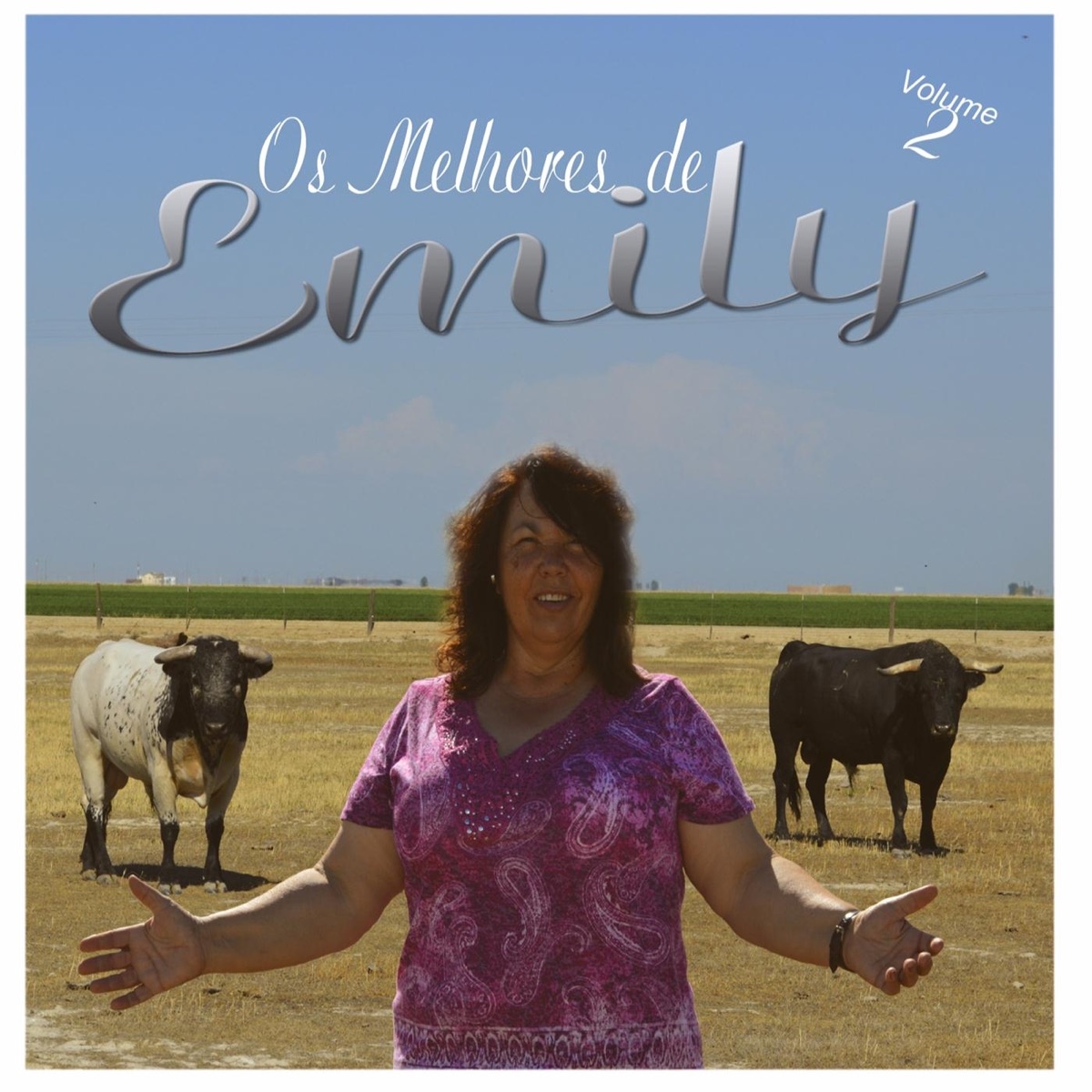 Os Melhores de Emily, Vol. 2 by Emily album cover