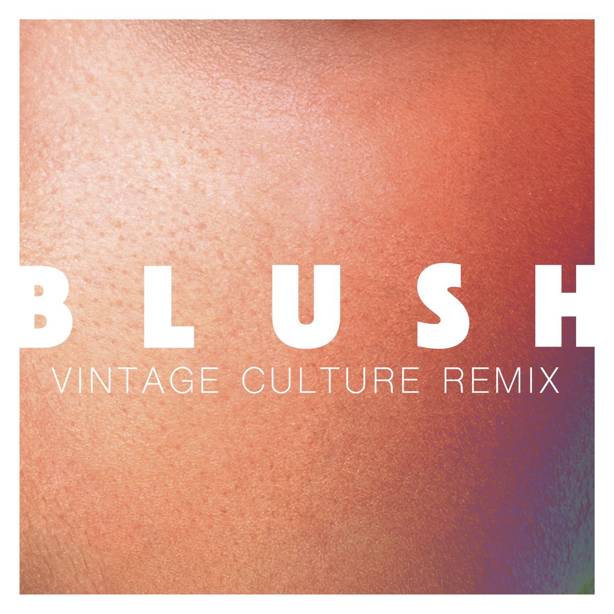 Blush (Vintage Culture Remix) - Single by Elekfantz & Vintage Culture album cover