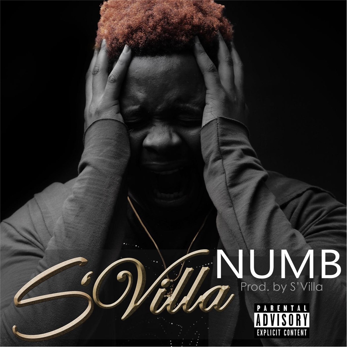 Numb - Single by S'Villa album cover