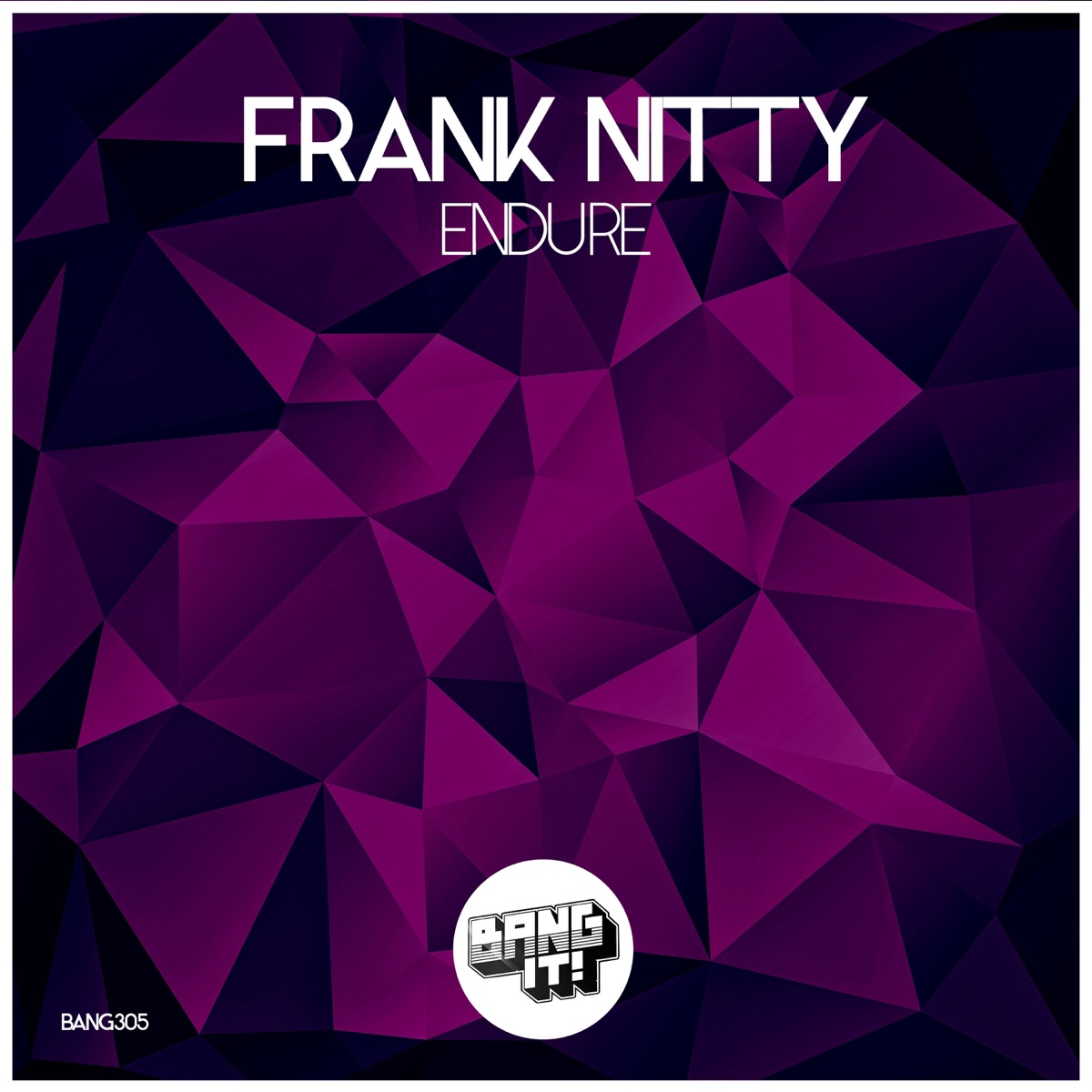 Endure - Single by Frank Nitty album cover