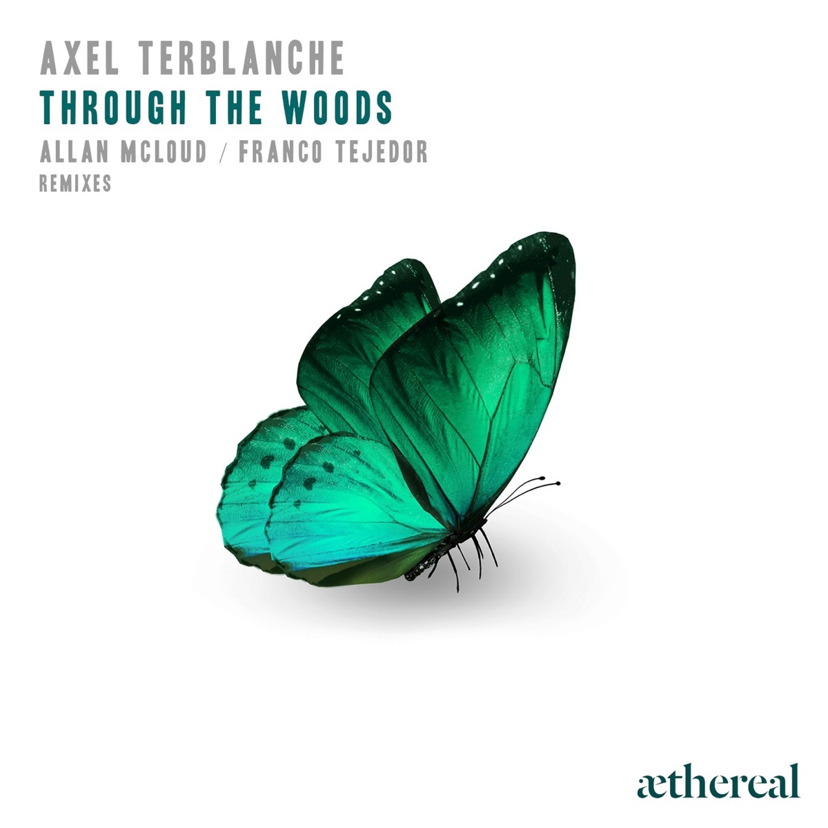 Through the Woods - Single by Axel Terblanche album cover