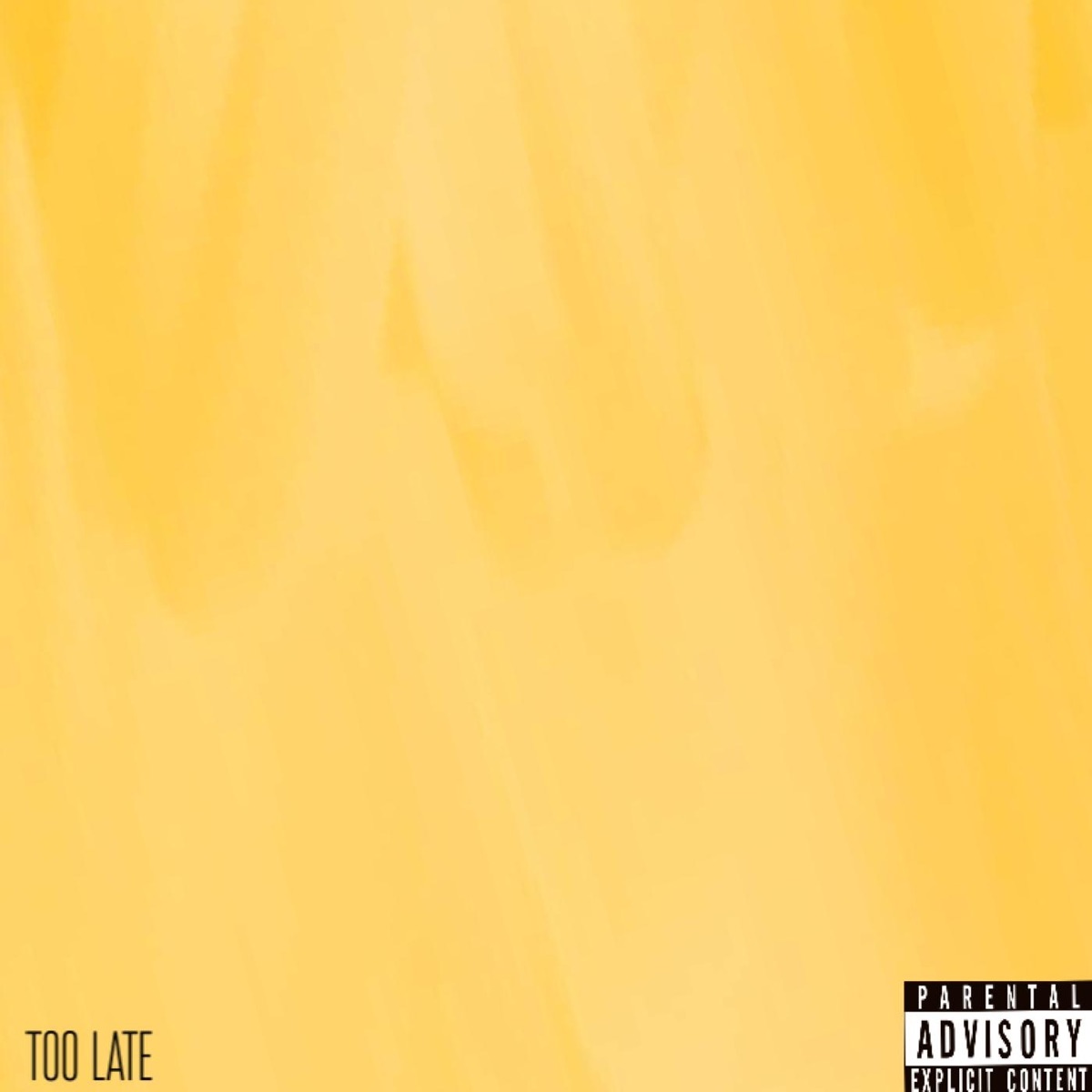 Too Late - Single by Myles Haagen, Jade & Snow album cover