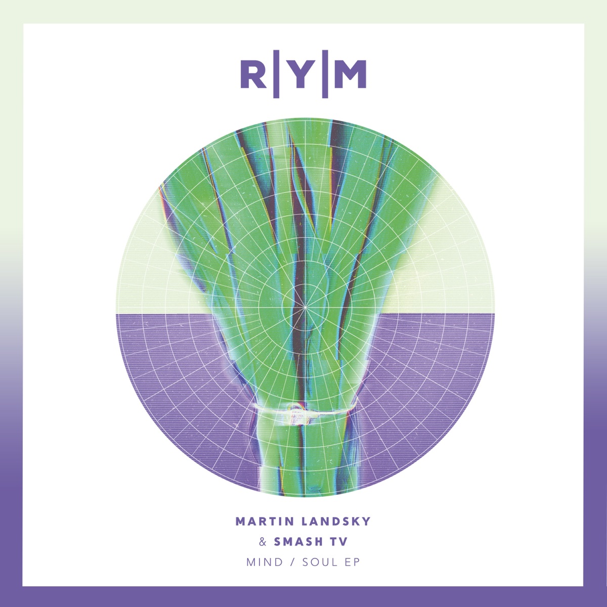 Mind/ Soul - Single by Martin Landsky & Smash TV album cover
