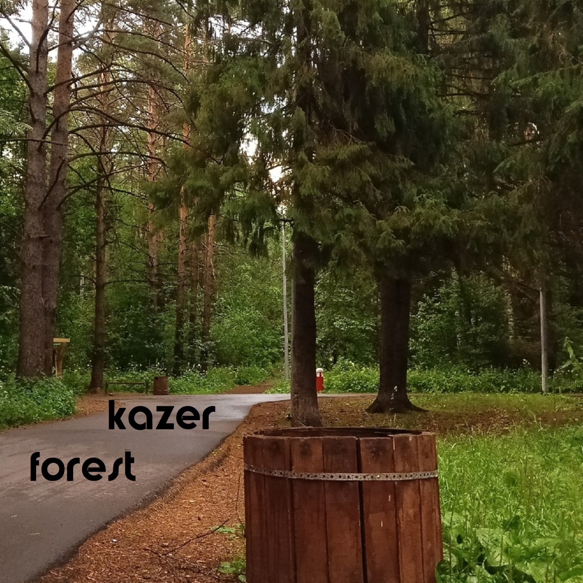 Forest - Single by Kazer album cover