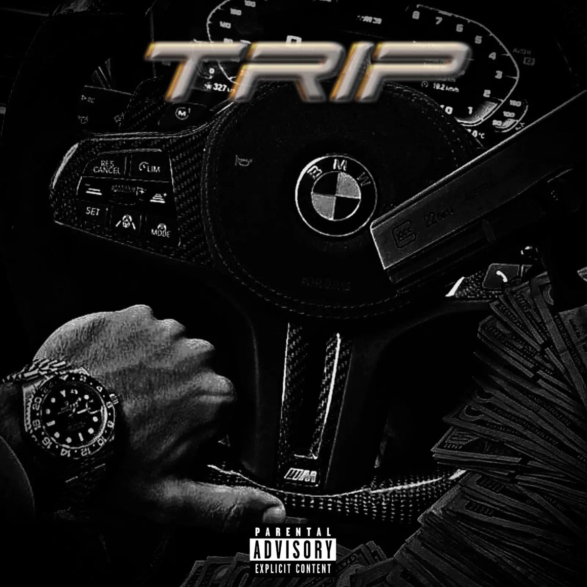 TRIP - Single by cfaravena album cover