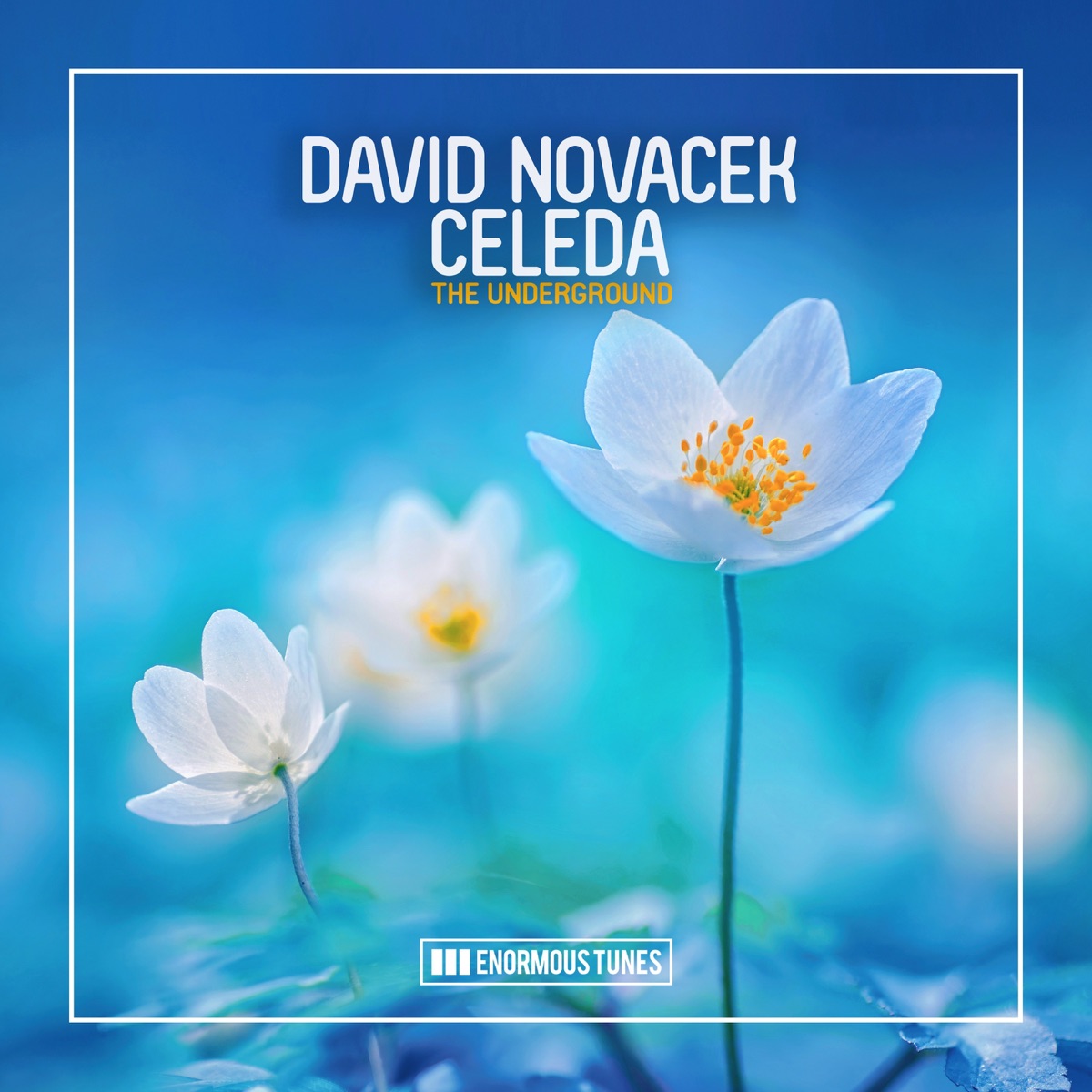 The Underground (feat. Celeda) - Single by David Novacek album cover