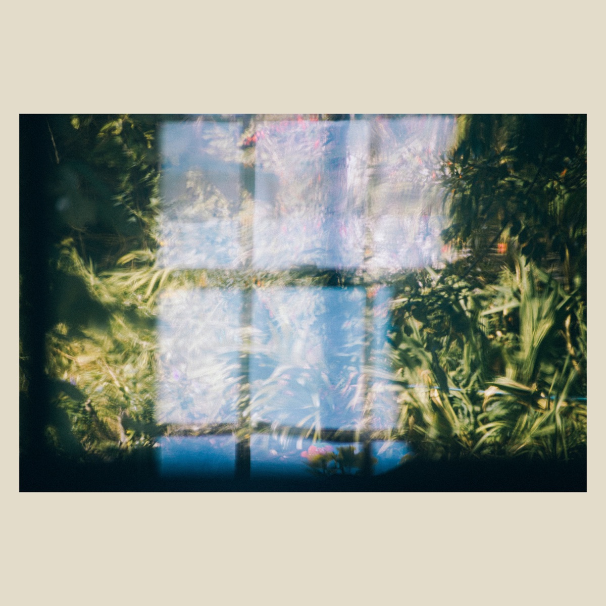Music for Growing Flowers by Erland Cooper album cover