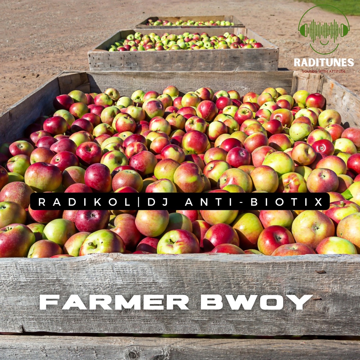 Farmer Boy (feat. DJ Anti-Biotix) - Single by Radikol album cover