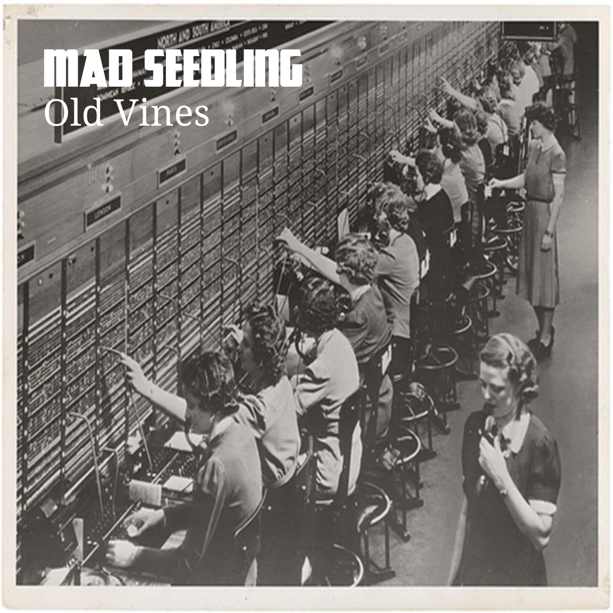 Old Vines - Single by Mad Seedling album cover