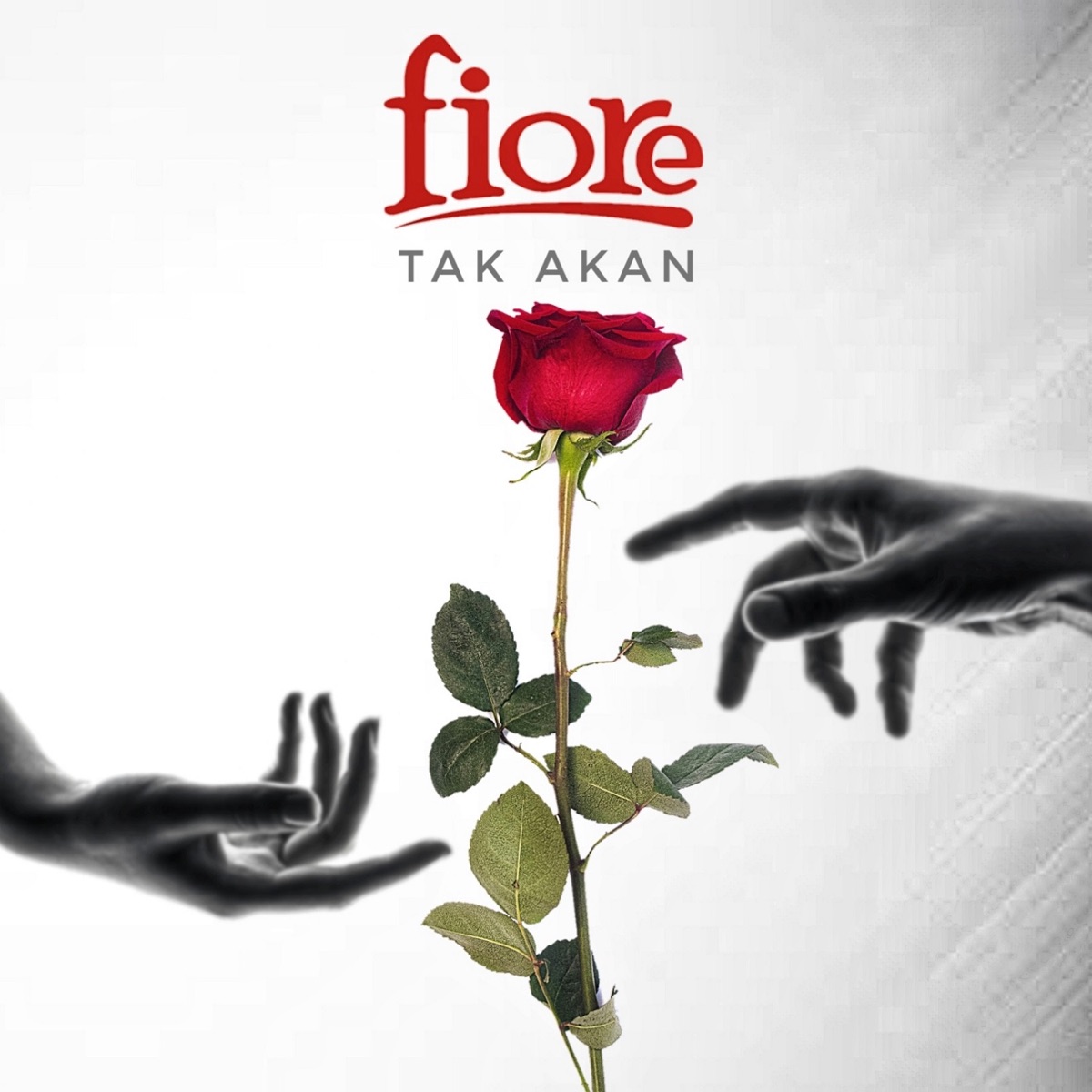 Tak Akan - Single by Fiore album cover