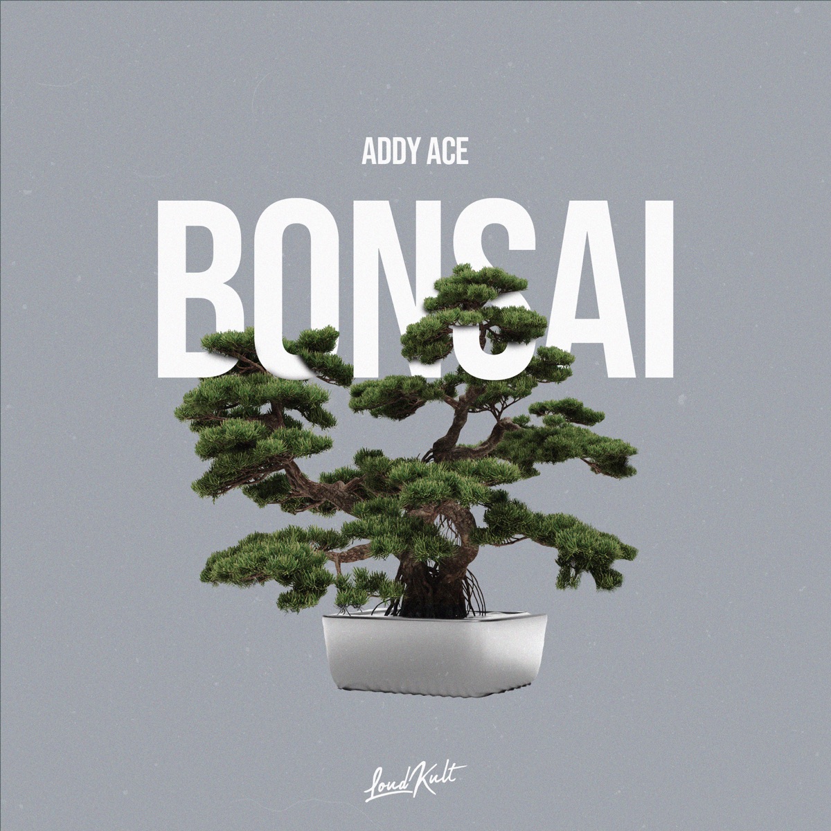 Bonsai - Single by Addy Ace album cover