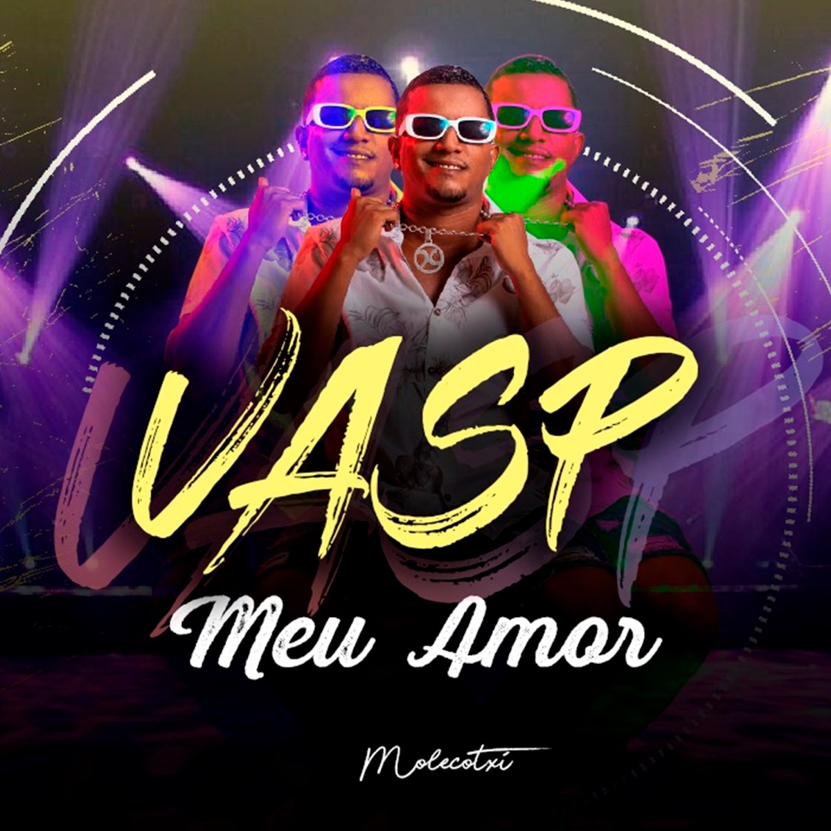Vasp Meu Amor - Single by Molecotxi album cover