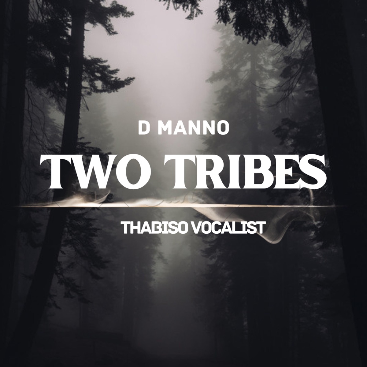 Two Tribes (feat. Thabiso vocalist) - Single by D Manno album cover