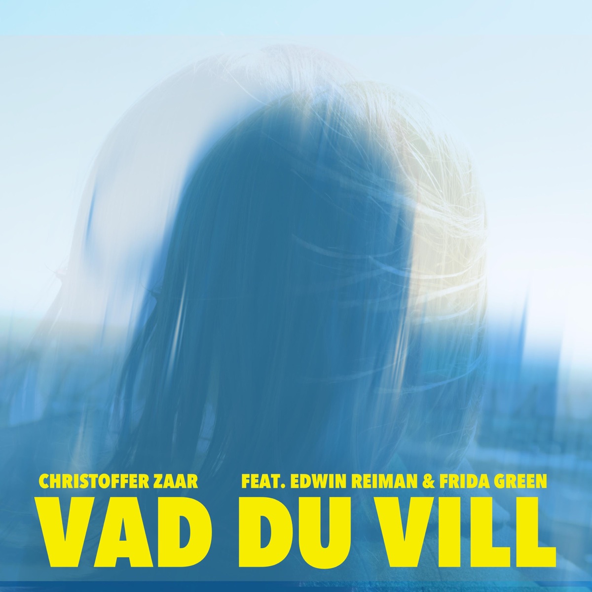 Vad du vill (feat. Frida Green & Edwin Reiman) [Remix] - Single by Christoffer Zaar album cover
