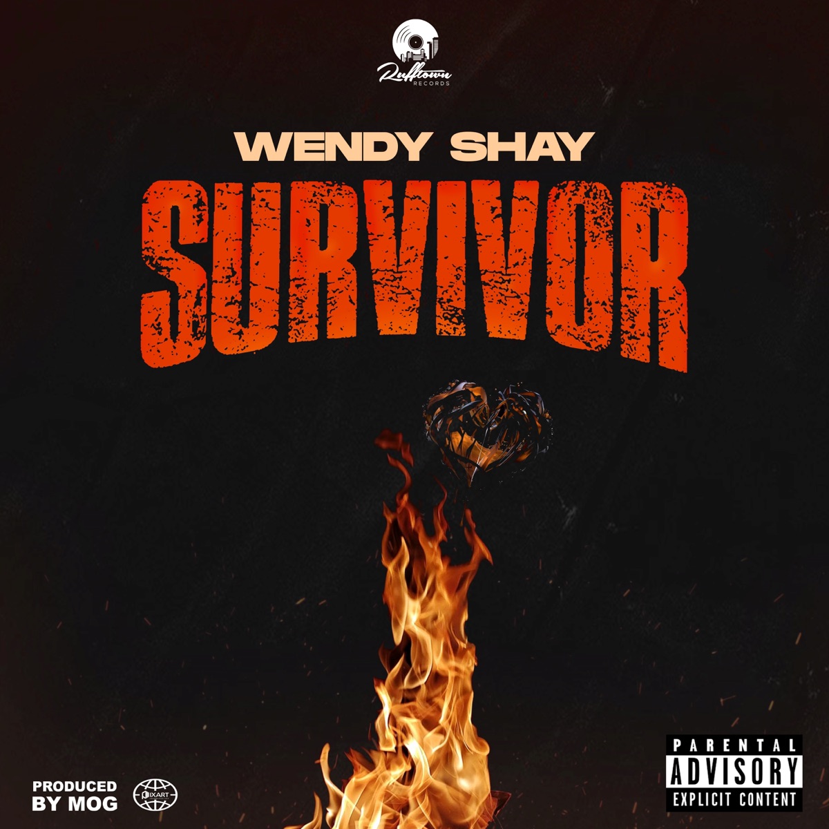 Survivor - Single by Wendy Shay album cover