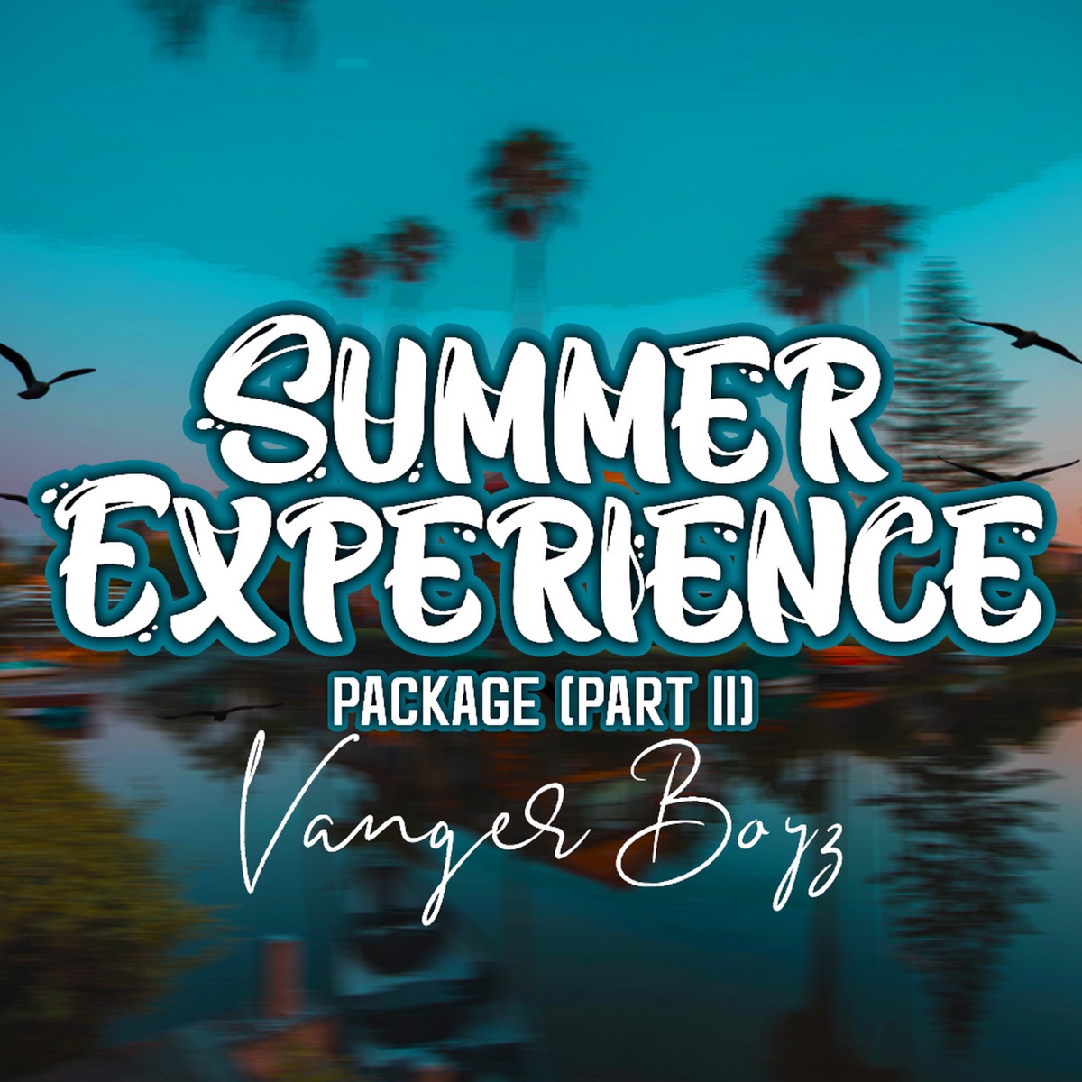 Summer Experience Package (Part II) - EP by Vanger Boyz album cover