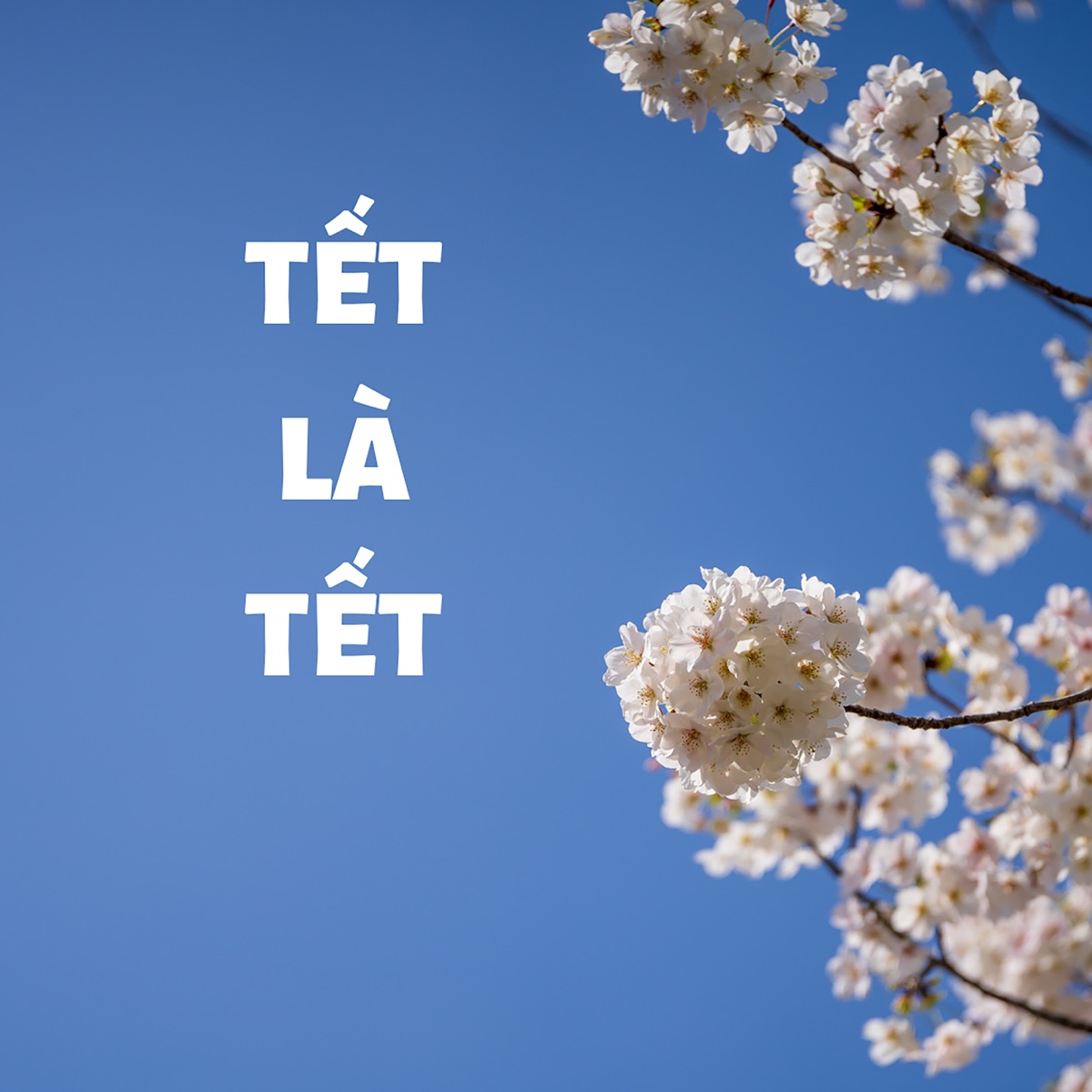 Tết Là Tết - Single by BDMedia album cover