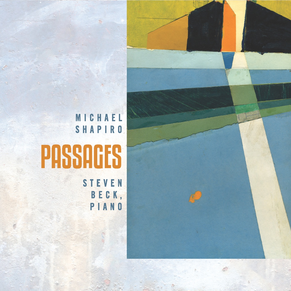 Michael Shapiro: Passages by Steven Beck album cover