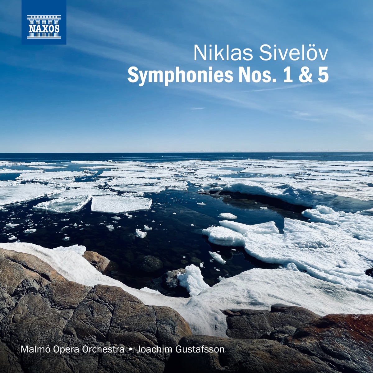 Sivelöv: Symphonies Nos. 1 & 5 by Malmö Opera Orchestra & Joachim Gustafsson album cover