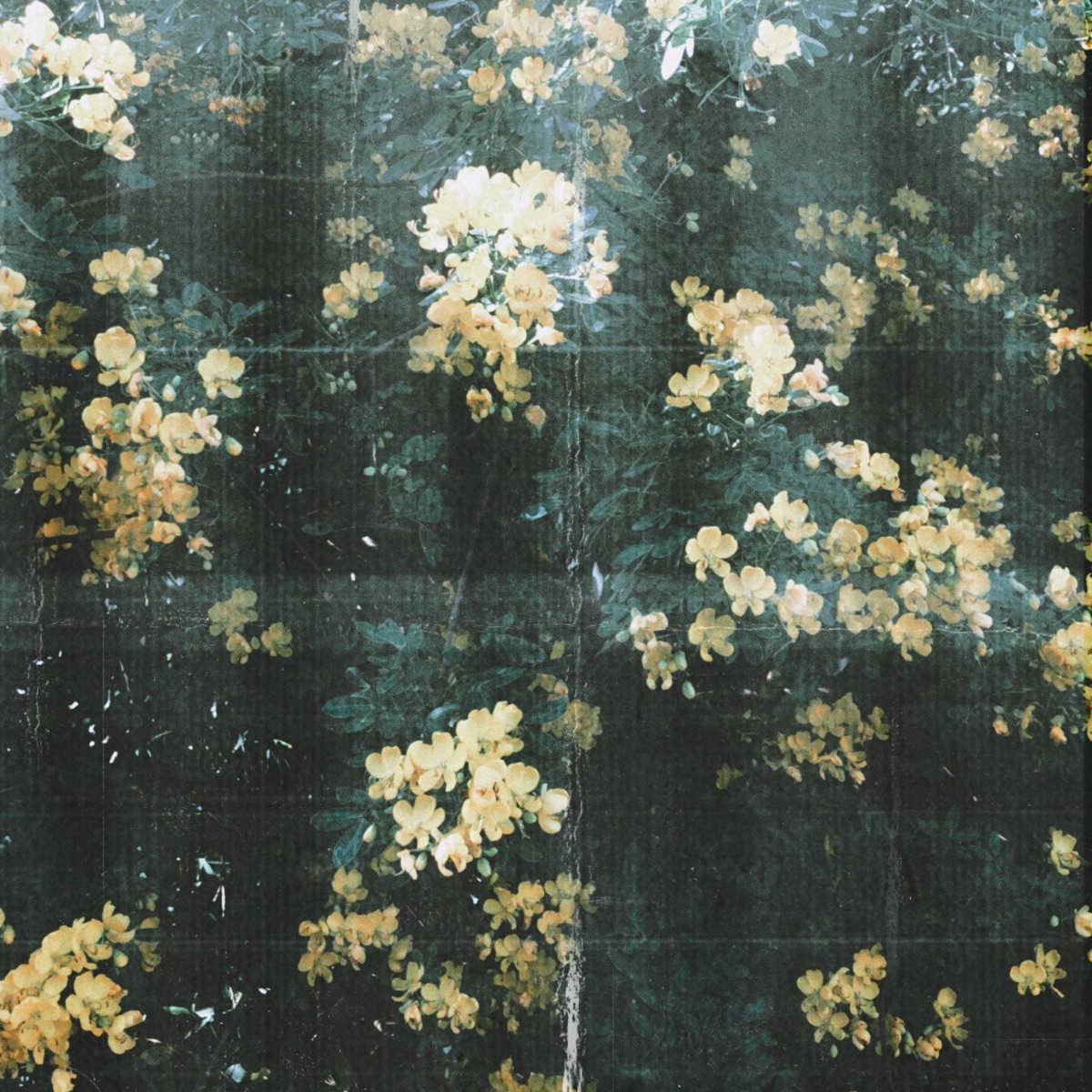 Lost in Garden - EP by sleeplessnights album cover