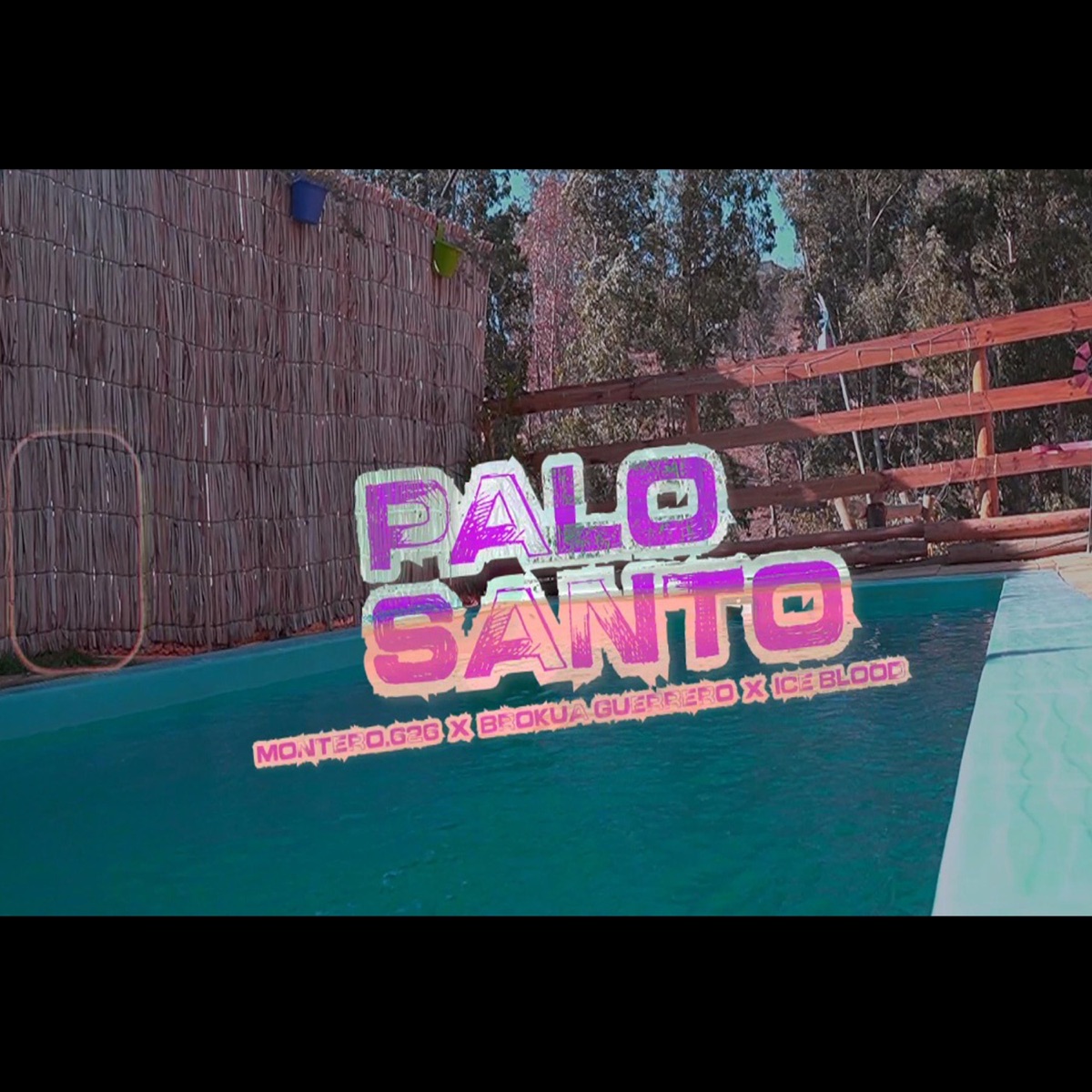 Palo Santo (feat. Brokua Guerrero, Ice Blood) - Single by Montero 626 album cover