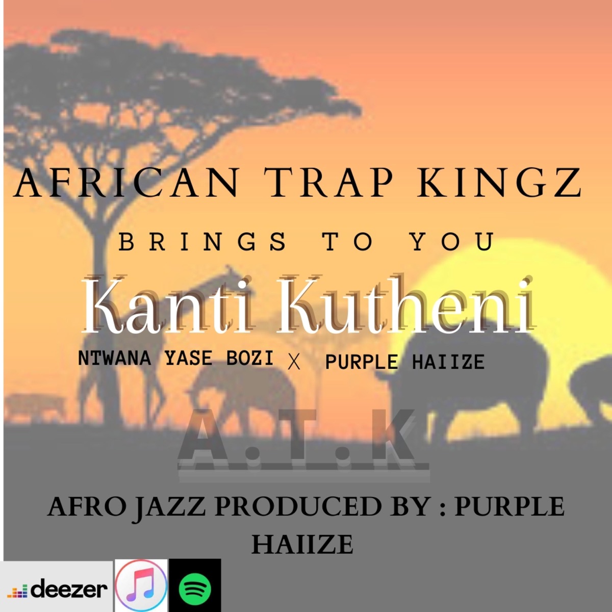 Kanti Kutheni (feat. Purple Haiize) [Radio Edit] [Radio Edit] - Single by NTWANA YASE BOZI album cover