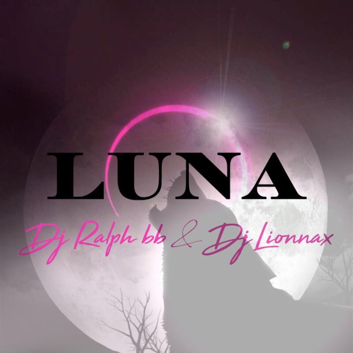 Luna - Single by Dj Ralph Bb & Dj Lionnax album cover