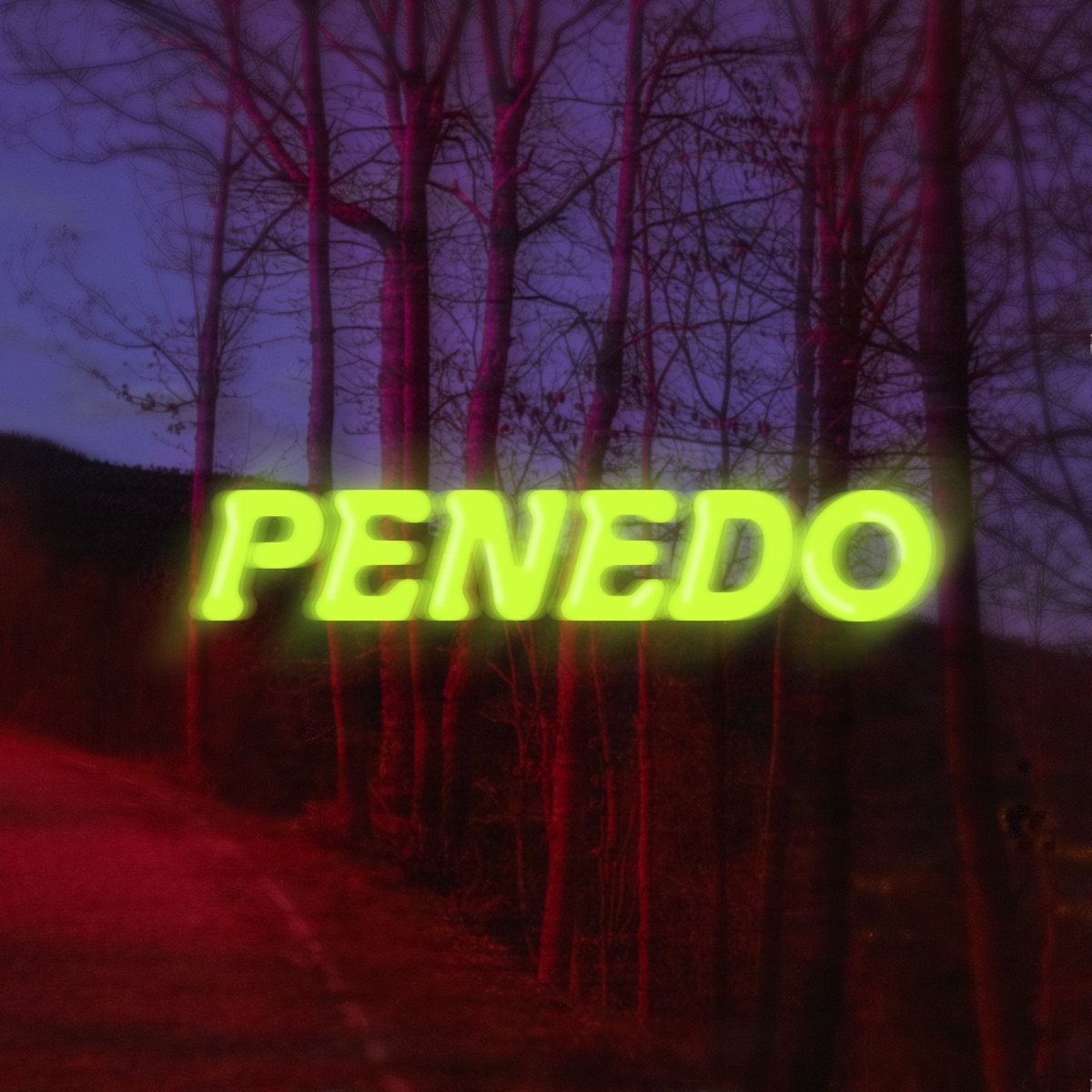 Structure du vide - EP by Penedo album cover