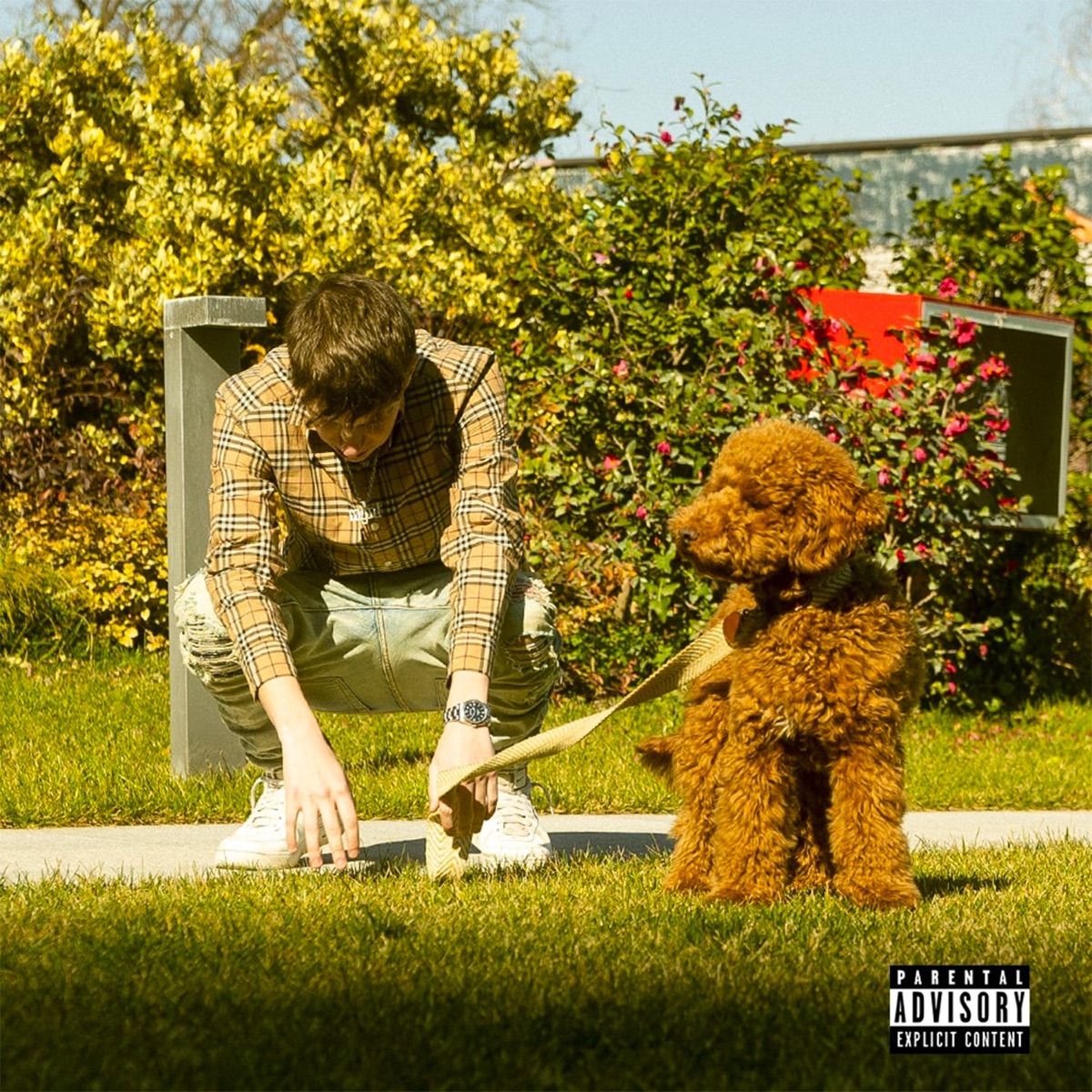 DOG - Single by KID album cover