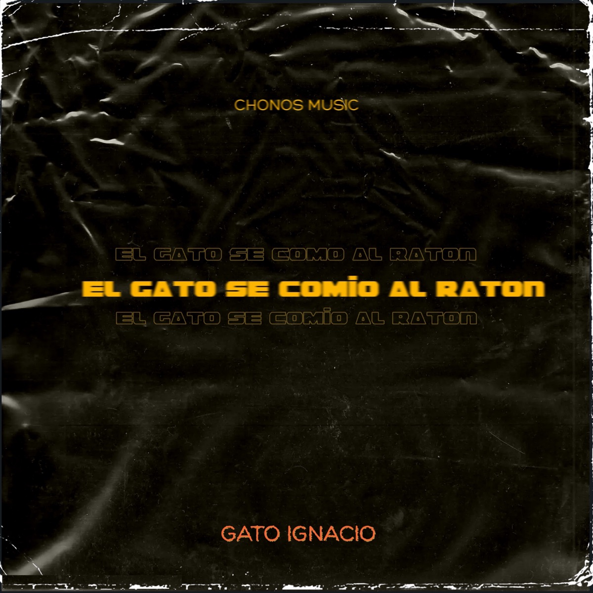 El Gato Se Comio al Ratón - Single by gato Ignacio album cover